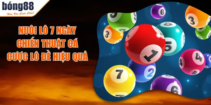 Bí Kíp Nuôi Lô 7 Ngày Chiến Thắng Cược Lô Đề Nhanh Chóng 12 Bí Kíp Nuôi Lô 7 Ngày Chiến Thắng Cược Lô Đề Nhanh Chóng