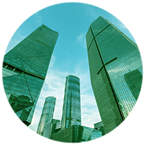 qua trinh phat trien bong88