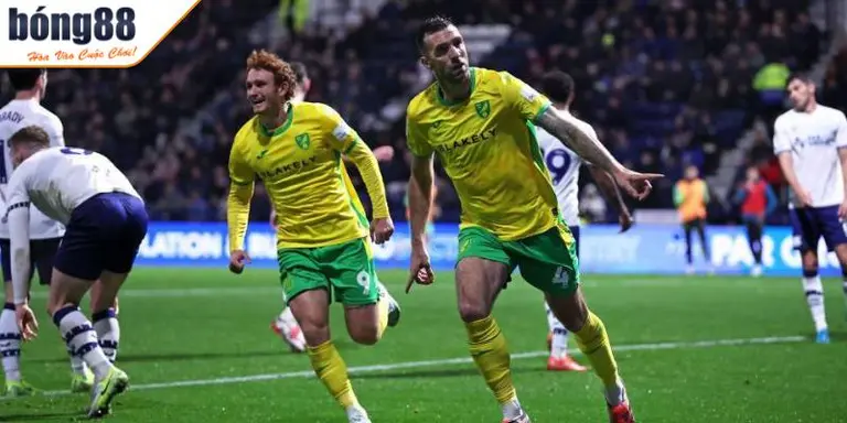 Soi Kèo Norwich Vs Preston 3h00 Ngày 12/2: Trận đấu ngang tài 3 Soi kèo Norwich vs Preston Châu Âu
